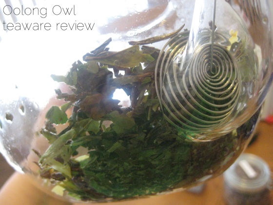 Blooming Glass Tea pot from DavidsTea - Oolong Owl Review (12)