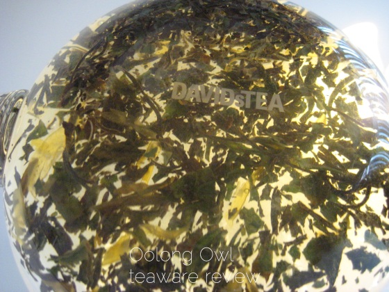 Blooming Glass Tea pot from DavidsTea - Oolong Owl Review (9)